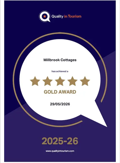 QIT 5 Star Award 2026