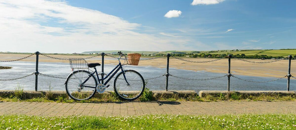 Dog Friendly Fremington Quay