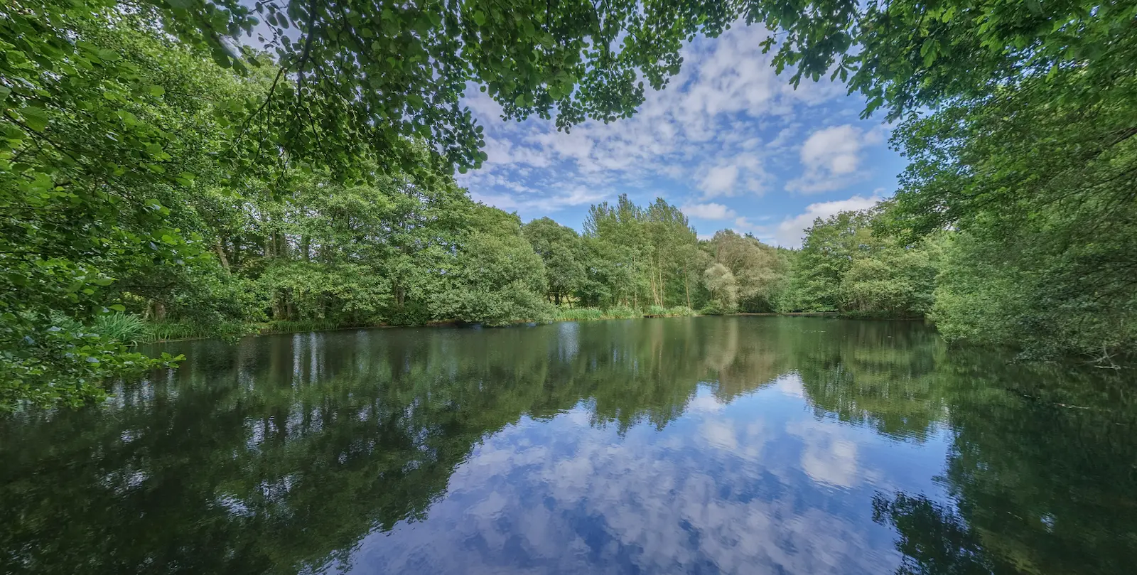 Millbrook Fishing Lake Devon