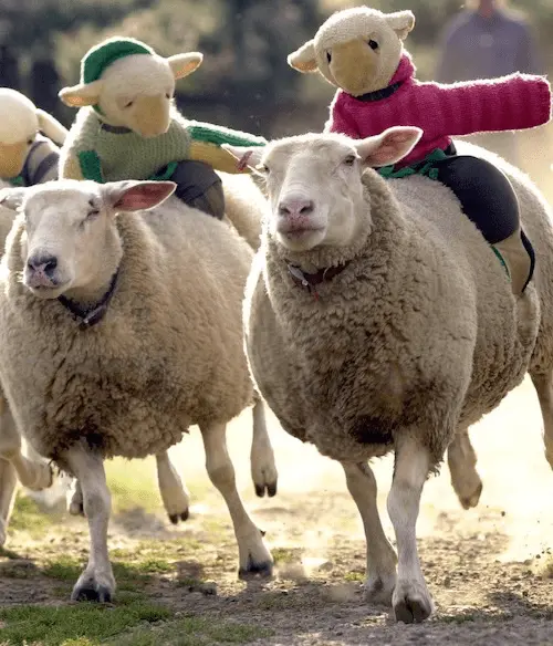 Family Days Out North Devon