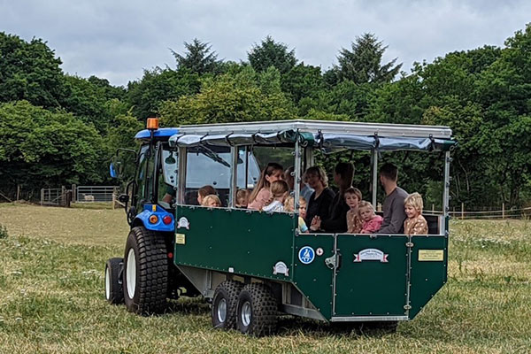 Woolley Animals Devon