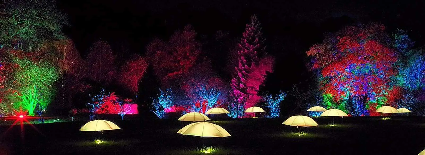 gardens to visit north devon